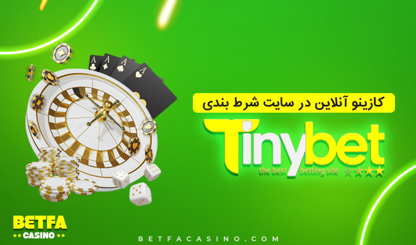 بازی در تاینی بت